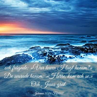 Picture 03 - Johannes 11:34 SV1917 - och frågade: »Var haven I lagt honom?» De - Bible Verse Picture