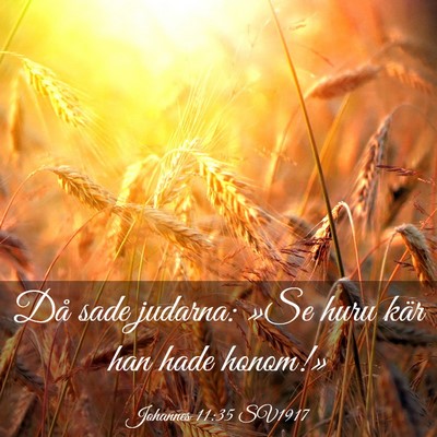 Picture 03 - Johannes 11:35 SV1917 - Då sade judarna: »Se huru kär han hade - Bible Verse Picture