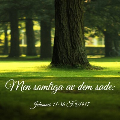 Picture 03 - Johannes 11:36 SV1917 - Men somliga av dem - Bible Verse Picture