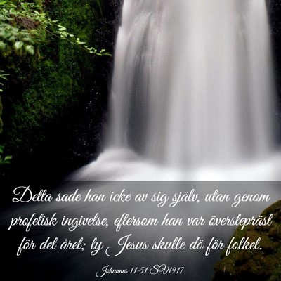 Picture 03 - Johannes 11:51 SV1917 - Detta sade han icke av sig själv, utan genom - Bible Verse Picture