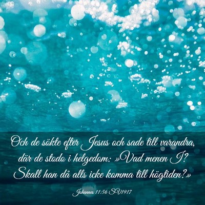 Picture 03 - Johannes 11:56 SV1917 - Och de sökte efter Jesus och sade till varandra, - Bible Verse Picture