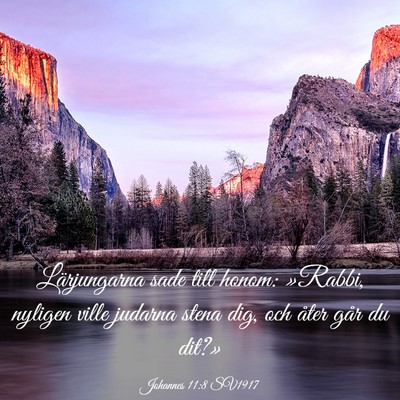 Picture 03 - Johannes 11:8 SV1917 - Lärjungarna sade till honom: »Rabbi, nyligen - Bible Verse Picture