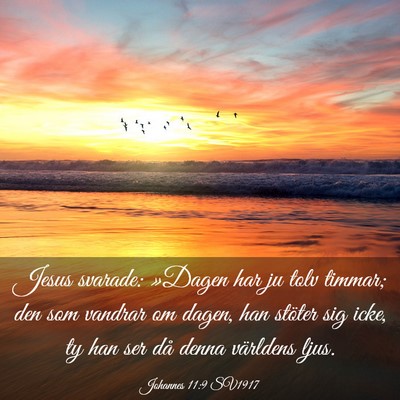 Picture 03 - Johannes 11:9 SV1917 - Jesus svarade: »Dagen har ju tolv timmar; den - Bible Verse Picture