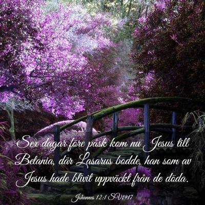 Picture 03 - Johannes 12:1 SV1917 - Sex dagar före påsk kom nu Jesus till Betania, - Bible Verse Picture