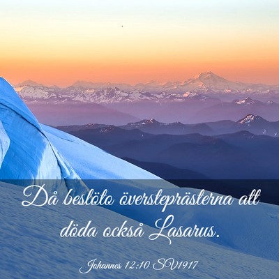 Picture 03 - Johannes 12:10 SV1917 - Då beslöto översteprästerna att döda också - Bible Verse Picture