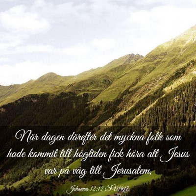 Picture 03 - Johannes 12:12 SV1917 - När dagen därefter det myckna folk som hade - Bible Verse Picture