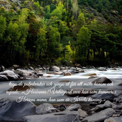 Picture 03 - Johannes 12:13 SV1917 - togo de palmkvistar och gingo ut för att möta - Bible Verse Picture