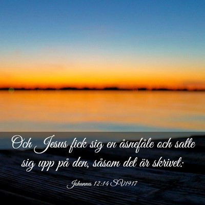 Picture 03 - Johannes 12:14 SV1917 - Och Jesus fick sig en åsnefåle och satte sig - Bible Verse Picture