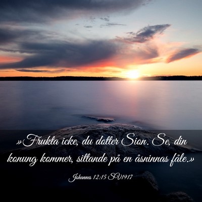 Picture 03 - Johannes 12:15 SV1917 - »Frukta icke, du dotter Sion. Se, din konung - Bible Verse Picture