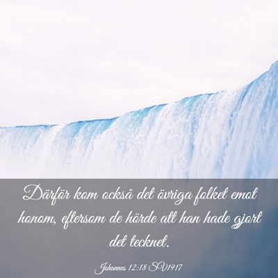 Picture 03 - Johannes 12:18 SV1917 - Därför kom också det övriga folket emot - Bible Verse Picture