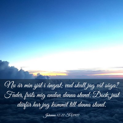 Picture 03 - Johannes 12:27 SV1917 - Nu är min själ i ångest; vad skall jag väl - Bible Verse Picture