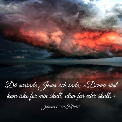Picture 03 - Johannes 12:30 SV1917 - Då svarade Jesus och sade: »Denna röst kom - Bible Verse Picture