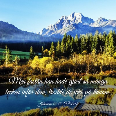 Picture 03 - Johannes 12:37 SV1917 - Men fastän han hade gjort så många tecken - Bible Verse Picture