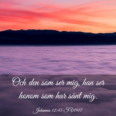 Picture 03 - Johannes 12:45 SV1917 - Och den som ser mig, han ser honom som har sänt - Bible Verse Picture