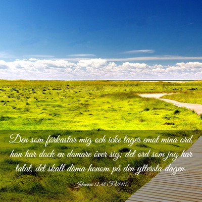 Picture 03 - Johannes 12:48 SV1917 - Den som förkastar mig och icke tager emot mina - Bible Verse Picture