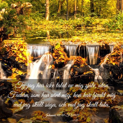 Picture 03 - Johannes 12:49 SV1917 - Ty jag har icke talat av mig själv, utan Fadern, - Bible Verse Picture