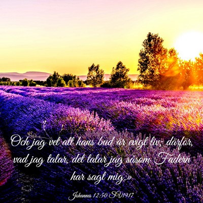 Picture 03 - Johannes 12:50 SV1917 - Och jag vet att hans bud är evigt liv; därför, - Bible Verse Picture