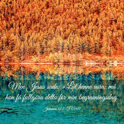 Picture 03 - Johannes 12:7 SV1917 - Men Jesus sade: »Låt henne vara; må hon få - Bible Verse Picture