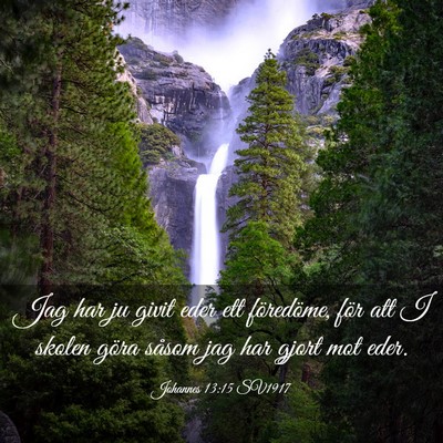 Picture 03 - Johannes 13:15 SV1917 - Jag har ju givit eder ett föredöme, för att I - Bible Verse Picture