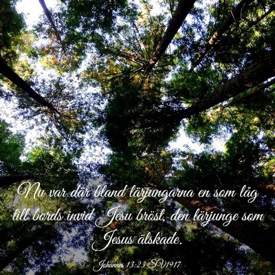 Picture 03 - Johannes 13:23 SV1917 - Nu var där bland lärjungarna en som låg till - Bible Verse Picture