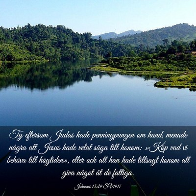 Picture 03 - Johannes 13:29 SV1917 - Ty eftersom Judas hade penningpungen om hand, - Bible Verse Picture