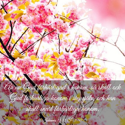 Picture 03 - Johannes 13:32 SV1917 - Är nu Gud förhärligad i honom, så skall ock - Bible Verse Picture
