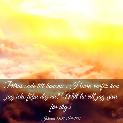 Picture 03 - Johannes 13:37 SV1917 - Petrus sade till honom: »Herre, varför kan jag - Bible Verse Picture