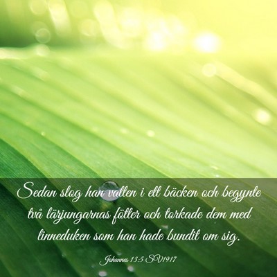 Picture 03 - Johannes 13:5 SV1917 - Sedan slog han vatten i ett bäcken och begynte - Bible Verse Picture