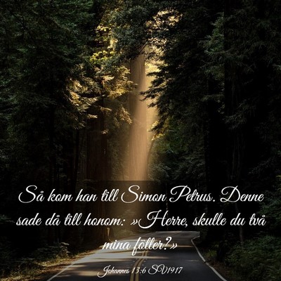 Picture 03 - Johannes 13:6 SV1917 - Så kom han till Simon Petrus. Denne sade då - Bible Verse Picture