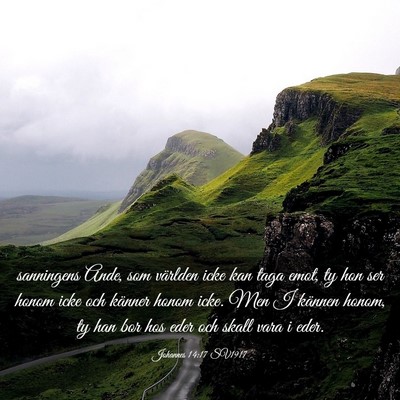 Picture 03 - Johannes 14:17 SV1917 - sanningens Ande, som världen icke kan taga emot, - Bible Verse Picture
