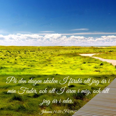 Picture 03 - Johannes 14:20 SV1917 - På den dagen skolen I förstå att jag är i min - Bible Verse Picture