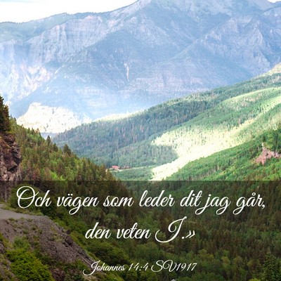 Picture 03 - Johannes 14:4 SV1917 - Och vägen som leder dit jag går, den veten - Bible Verse Picture