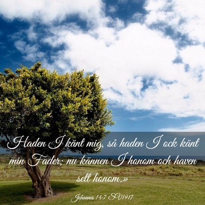 Picture 03 - Johannes 14:7 SV1917 - Haden I känt mig, så haden I ock känt min - Bible Verse Picture