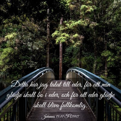 Picture 03 - Johannes 15:11 SV1917 - Detta har jag talat till eder, för att min - Bible Verse Picture