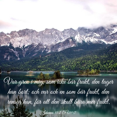 Picture 03 - Johannes 15:2 SV1917 - Var gren i mig, som icke bär frukt, den tager - Bible Verse Picture