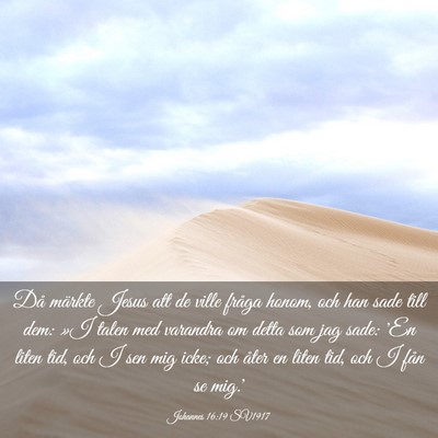 Picture 03 - Johannes 16:19 SV1917 - Då märkte Jesus att de ville fråga honom, och - Bible Verse Picture
