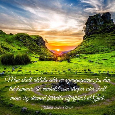 Picture 03 - Johannes 16:2 SV1917 - Man skall utstöta eder ur synagogorna; ja, den - Bible Verse Picture