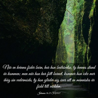 Picture 03 - Johannes 16:21 SV1917 - När en kvinna föder barn, har hon bedrövelse, - Bible Verse Picture