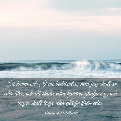 Picture 03 - Johannes 16:22 SV1917 - Så haven ock I nu bedrövelse; men jag skall se - Bible Verse Picture