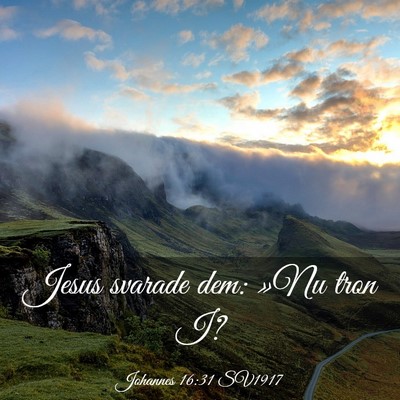 Picture 03 - Johannes 16:31 SV1917 - Jesus svarade dem: »Nu tron - Bible Verse Picture