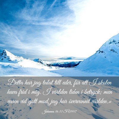 Picture 03 - Johannes 16:33 SV1917 - Detta har jag talat till eder, för att I skolen - Bible Verse Picture