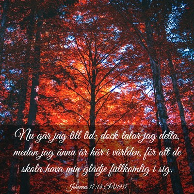 Picture 03 - Johannes 17:13 SV1917 - Nu går jag till tid; dock talar jag detta, medan - Bible Verse Picture