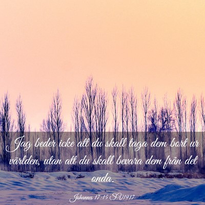 Picture 03 - Johannes 17:15 SV1917 - Jag beder icke att du skall taga dem bort ur - Bible Verse Picture