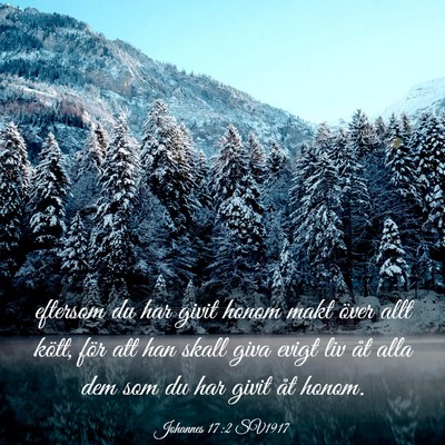 Picture 03 - Johannes 17:2 SV1917 - eftersom du har givit honom makt över allt - Bible Verse Picture
