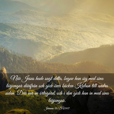 Picture 03 - Johannes 18:1 SV1917 - När Jesus hade sagt detta, begav han sig med - Bible Verse Picture