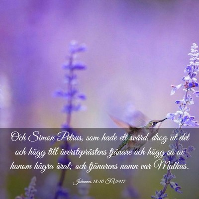 Picture 03 - Johannes 18:10 SV1917 - Och Simon Petrus, som hade ett svärd, drog ut - Bible Verse Picture