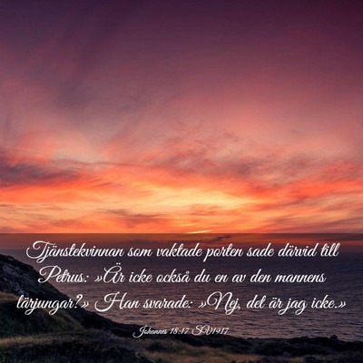 Picture 03 - Johannes 18:17 SV1917 - Tjänstekvinnan som vaktade porten sade därvid - Bible Verse Picture