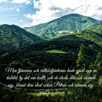 Picture 03 - Johannes 18:18 SV1917 - Men tjänarna och rättsbetjänterna hade gjort - Bible Verse Picture