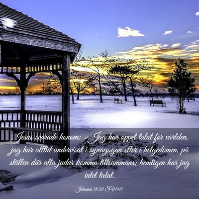 Picture 03 - Johannes 18:20 SV1917 - Jesus svarade honom: »Jag har öppet talat för - Bible Verse Picture