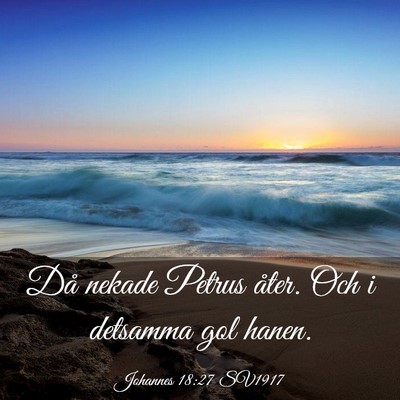 Picture 03 - Johannes 18:27 SV1917 - Då nekade Petrus åter. Och i detsamma gol - Bible Verse Picture
